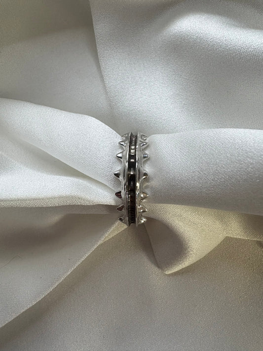 Stegurio - Sterling Silver Custom